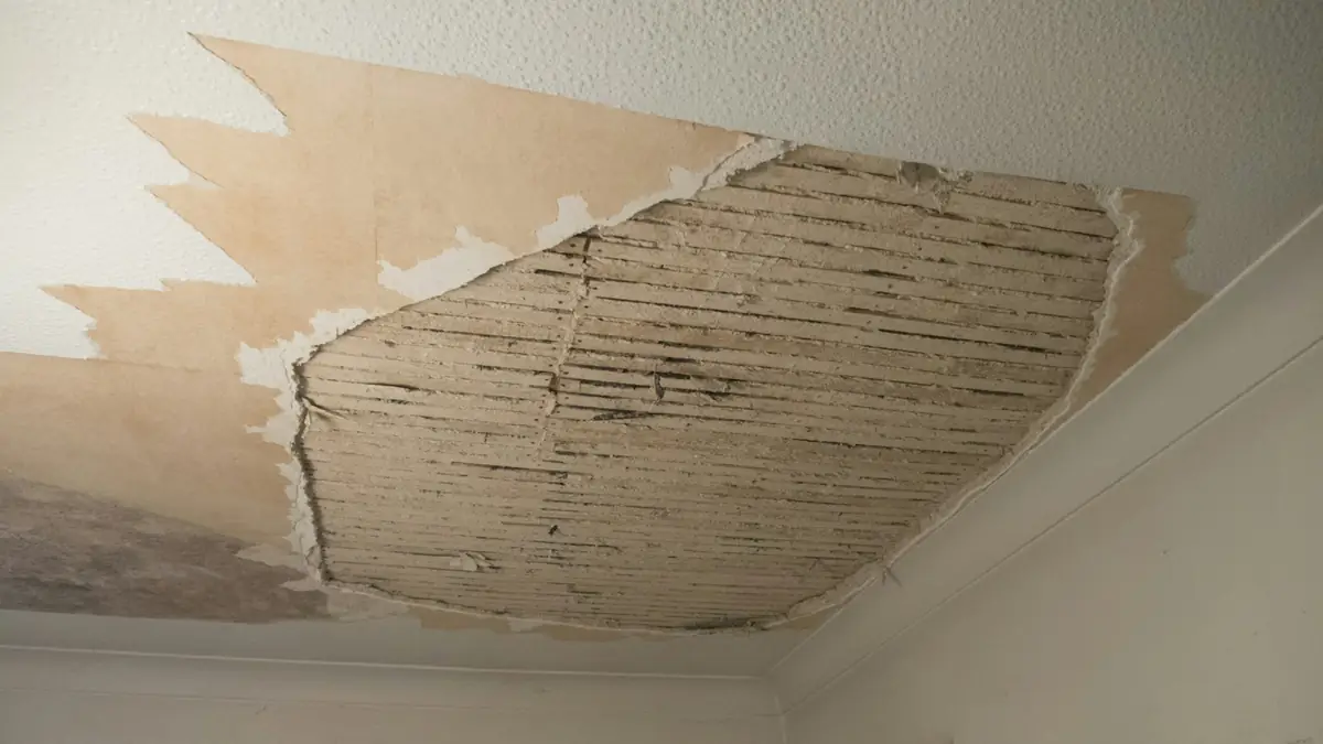 A section of ceiling plaster fallen away to expose the lath - Leak Detection in Derby